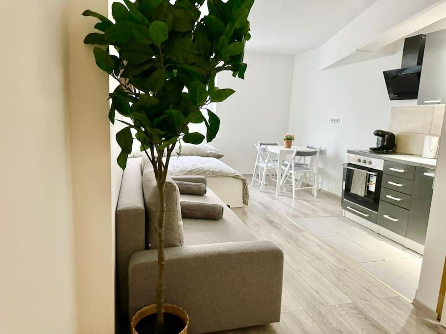 Stylish Schonbrunn Apartments With Free Parking Wien Exterior foto